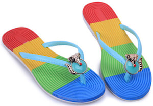 Rainbow flip flops with little fox on it